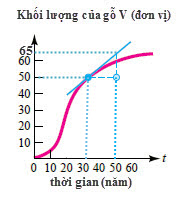 Hình minh họa câu hỏi